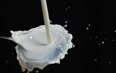 Kennisbank 68 Puistjes door zuivel: Kan je echt puistjes krijgen door zuivel?